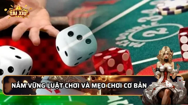 Cách Kiếm Tiền Mỗi Ngày Từ Tài Xỉu Tặng Tiền - Nắm vững luật chơi